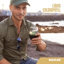 maxler-chlorophyll-liquid-natural-flavor-6.jpg