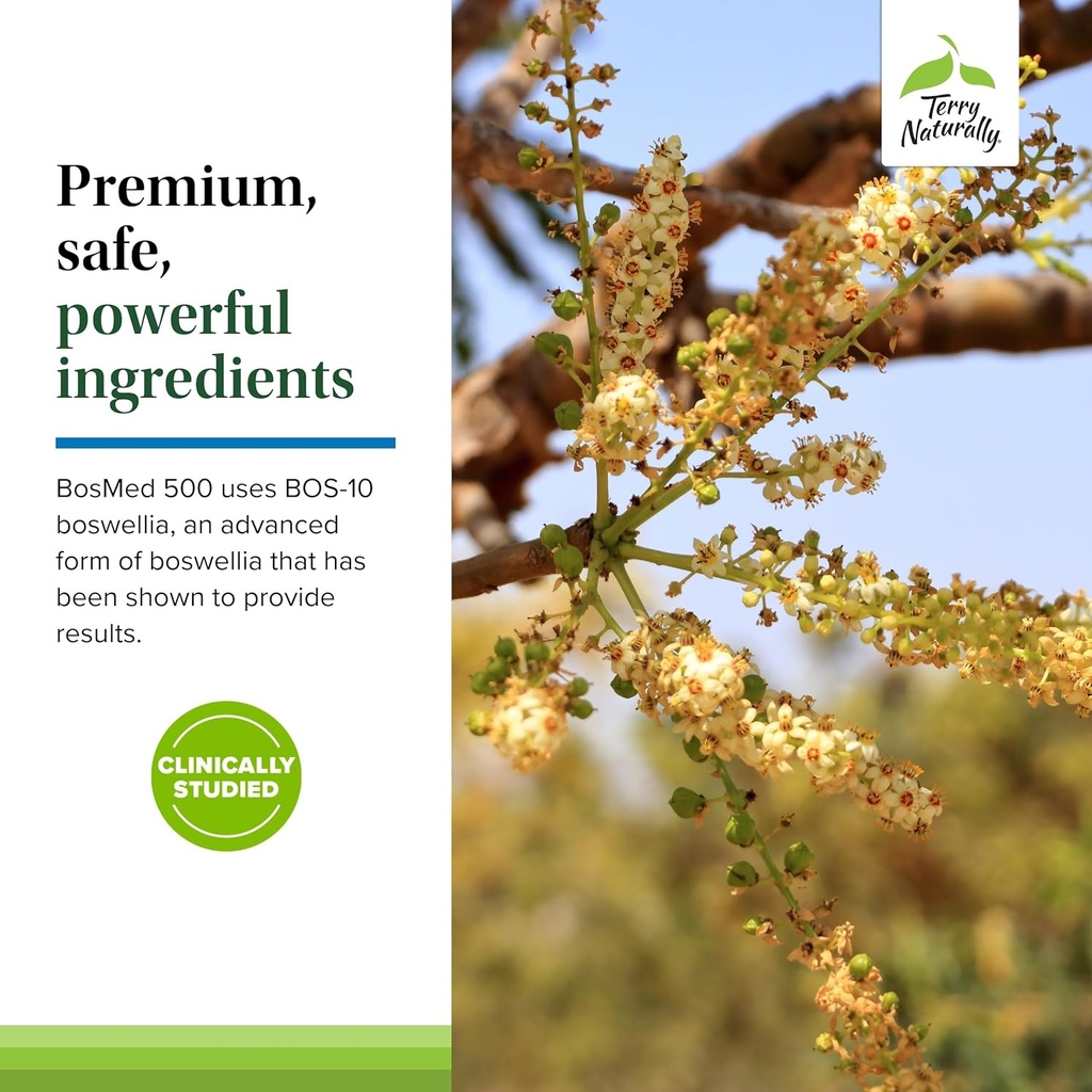 terry-naturally-bosmed-500---boswellia-s-5.jpg