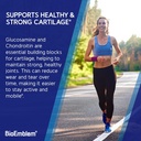 bioemblem-joint-support---glucosamine-ch-3.jpg