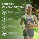 chlorophyll-gummies-with-black-seed-oil--4.jpg