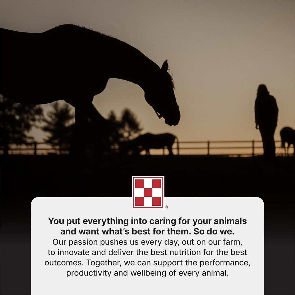 purina-supersport-horse-supplement-amino-5.jpg