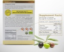 organic-antioxidant-polyphenols-rich-oli-3.jpg