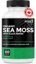 renew-actives-sea-moss-triple-action-ant-2.jpg