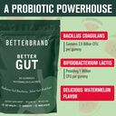 betterbrand-better-gut-gummy---probiotic-4.jpg