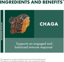 host-defense-chaga-extract---immune-syst-6.jpg