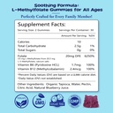 2-pack-l-methylfolate-gummies-with-methy-2.jpg
