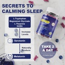 melatonin-free-sleep-aid-gummies-for-adu-4.jpg