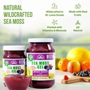 wildcrafted-irish-sea-moss-gel-made-in-u-3.jpg