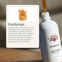 rainbo---cordyceps-mushroom-tincture---a-3.jpg