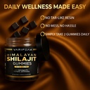 4-in-1-organic-himalayan-shilajit-gummie-3.jpg
