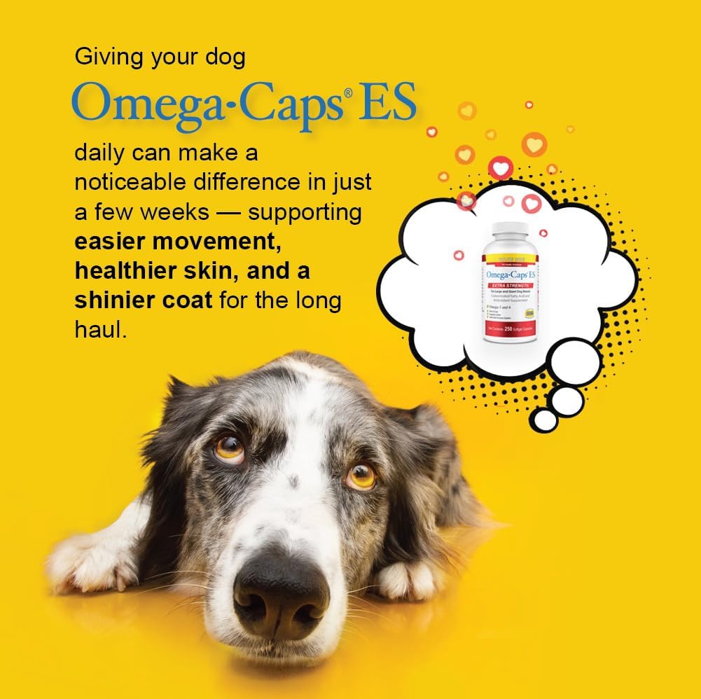 omega-caps-es-for-large-giant-dogs---ome-3.jpg