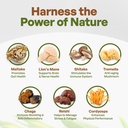 go-nutra---organic-7-mushroom-supplement-3.jpg