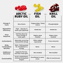 arctic-ruby-oil-1000mg-omega-3-supplemen-3.jpg