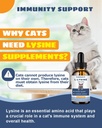 lysine-for-cats-tear-stain-remover---sup-2.jpg