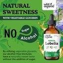 wild-organic-lobelia-tincture---lung-det-6.jpg