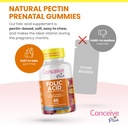 conceive-plus-folic-acid-gummies---800mc-5.jpg