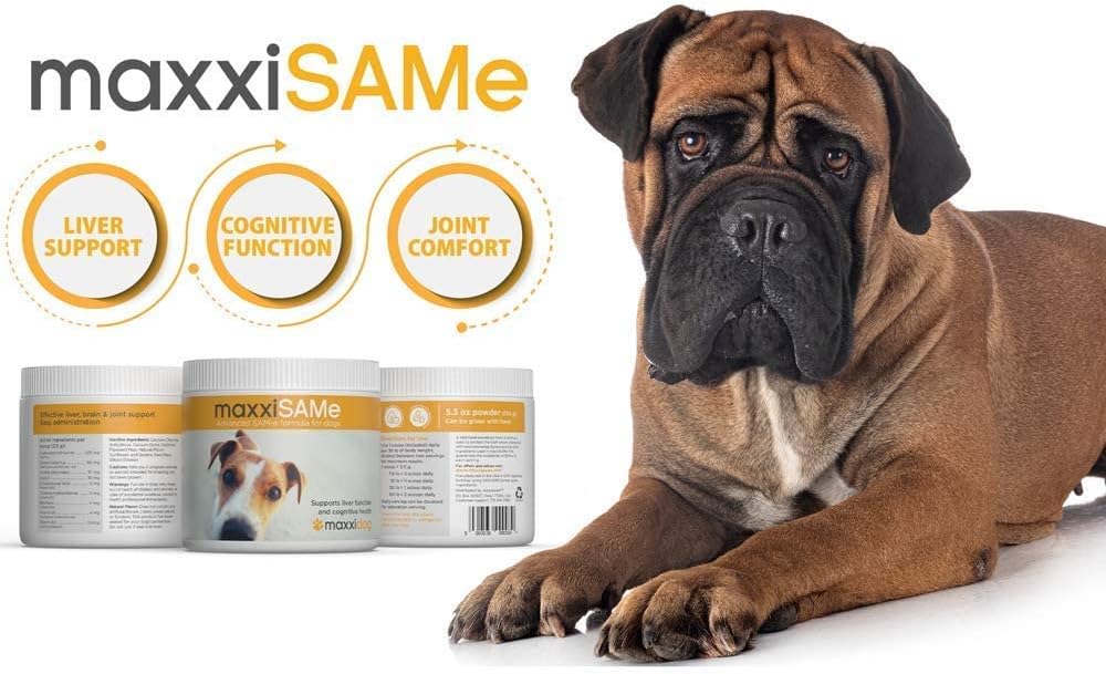 maxxipaws-sam-e-uti-bundle-maxxisame-adv-2.jpg