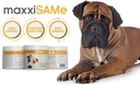 maxxipaws-sam-e-uti-bundle-maxxisame-adv-2.jpg