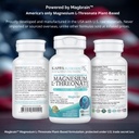 kappa-nutrition-powered-by-magbrainTM-ma-3.jpg