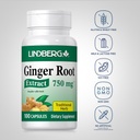 lindberg-ginger-root-capsules-750-mg-100-3.jpg