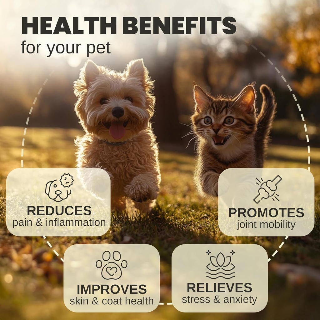 billion-pets---hemp-oil-for-dogs-and-cat-2.jpg