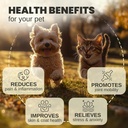 billion-pets---hemp-oil-for-dogs-and-cat-2.jpg