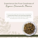 starwest-botanicals-organic-chamomile-fl-2.jpg