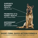vetriscience-quick-action-ut-health-chew-5.jpg