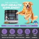 googipet-probiotics-for-dogs-digestive-h-4.jpg