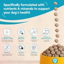 wanderfound-pets-10-in-1-dog-multivitami-2.jpg