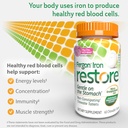fergon-iron-restore-chewable-tablets---g-3.jpg