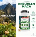 organic-maca-root-capsules-for-women-men-5.jpg