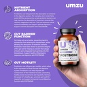 umzu-postbiome-postbiotic-supplement-gut-2.jpg