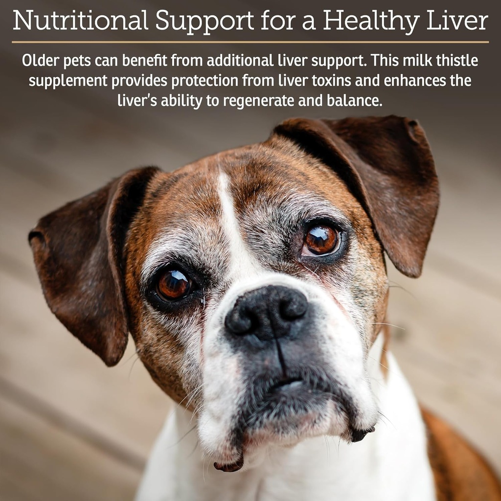 rx-vitamins-hepato-support-for-dogs-cats-3.jpg
