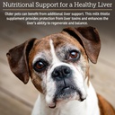 rx-vitamins-hepato-support-for-dogs-cats-3.jpg