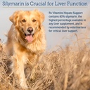 rx-vitamins-hepato-support-for-dogs-cats-5.jpg