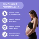 prenatal-probiotics-for-women-30-billion-2.jpg