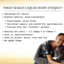 functional-formularies-liquid-hope-organ-5.jpg