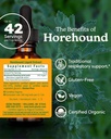 herb-pharm-horehound-liquid-extract-for--2.jpg