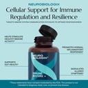 immune-restore---contains-beta-glucan-13-6.jpg