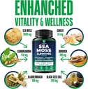sea-moss-black-seed-oil-ashwagandha-ging-5.jpg