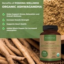 pomona-wellness-organic-ashwagandha-supp-2.jpg
