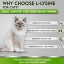 trulysine-l-lysine-for-cats-immune-suppo-4.jpg