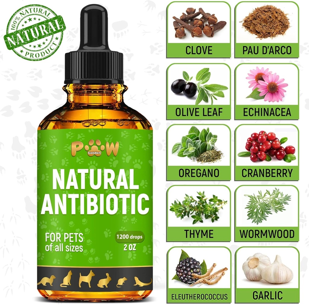 dog-antibiotics-for-infection-coughs-uti-3.jpg