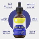 mullein---mullein-leaf-extract-drops---l-4.jpg