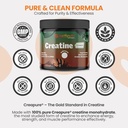 earthnutri-creatine-monohydrate-powder---3.jpg