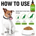 dog-antibiotics-for-infection-coughs-uti-4.jpg