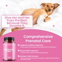 kilab-complete-prenatal-vitamins-for-dog-3.jpg