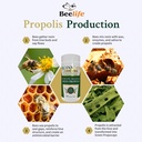 beelife-green-propolis-capsules--100-gre-3.jpg