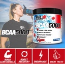 evl-bcaas-amino-acids-powder---bcaa-powd-4.jpg